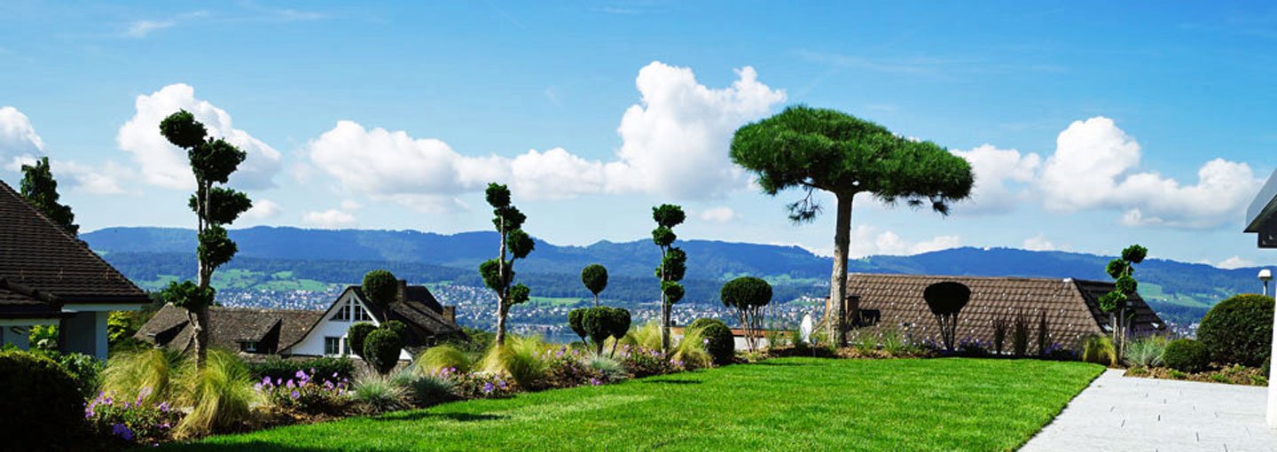 Weitsicht-im-Garten.jpg