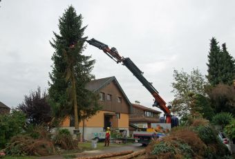 Unterhalt-3.jpg